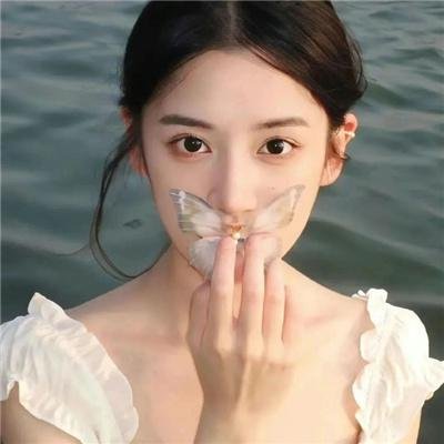 全力一搏：为民主而战